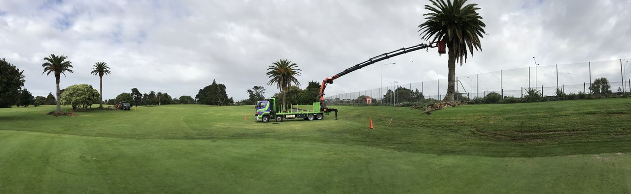 The TreeCare Crane Hire truck working with the boom fully extended into tall pines on a golf course